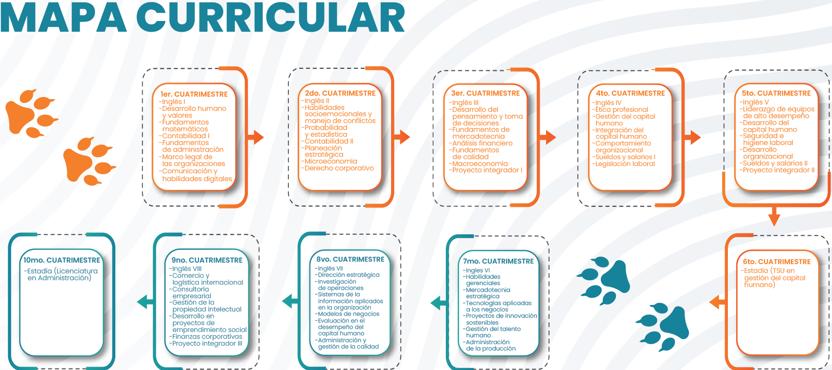 Mapa Curricular de la ingenieria industrial.