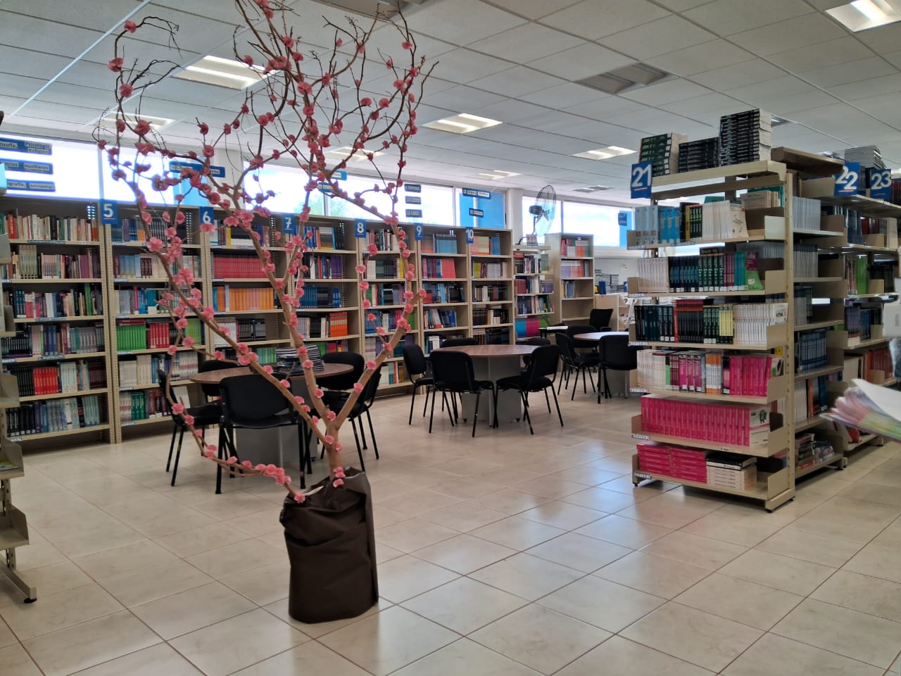 Biblioteca